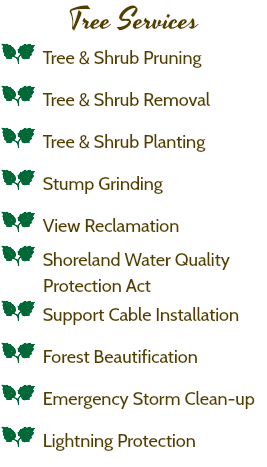 Tree Services a Tree & Shrub Pruning a Tree & Shrub Removal a Tree & Shrub Planting a Stump Grinding a View Reclamation a Shoreland Water Quality Protection Act a Support Cable Installation a Forest Beautification a Emergency Storm Clean-up a Lightning Protection