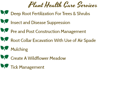 Plant Health Care Services a Deep Root Fertilization For Trees & Shrubs a Insect and Disease Suppression a Pre and Post Construction Management a Root Collar Excavation With Use of Air Spade a Mulching a Create A Wildflower Meadow a Tick Management