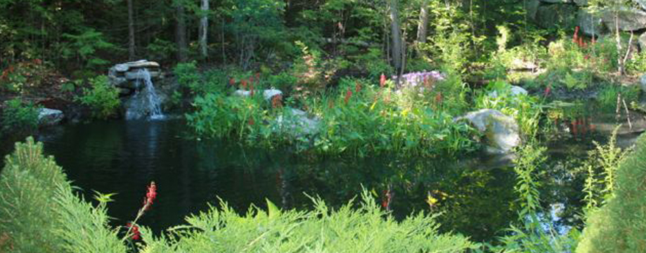 donovan tree service, Meredith, NH 03253